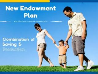 LIC പുതിയ എൻഡോവ്മെൻ്റ് പ്ലാൻ